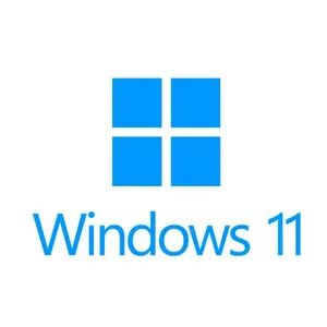 Windows 11